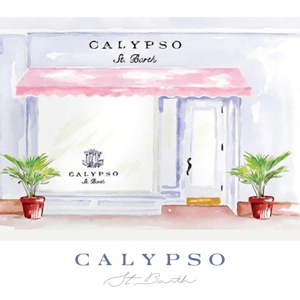 {Calypso St Barth} Coastal Sails Linen Blend Maxi Skirt (Medium) - Picture 12 of 12
